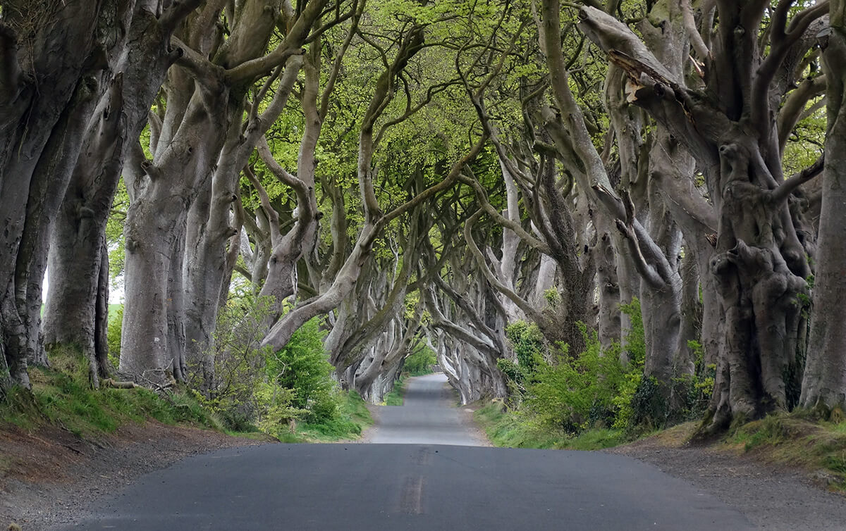 Carretera de Bregagh en Irlanda del Norte