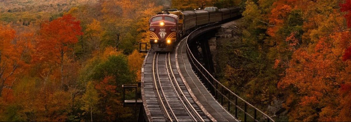 Imagen de un tren circulando de frente por una vía