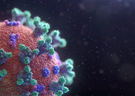 coronavirus