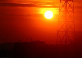 Beat the heat: how to keep cool out in the field