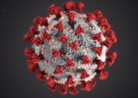 coronavirus