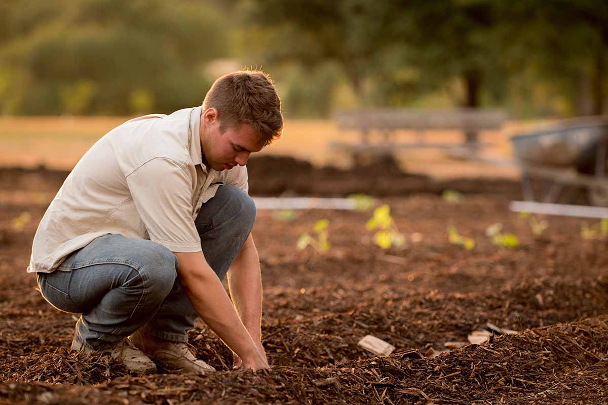 composting-environment